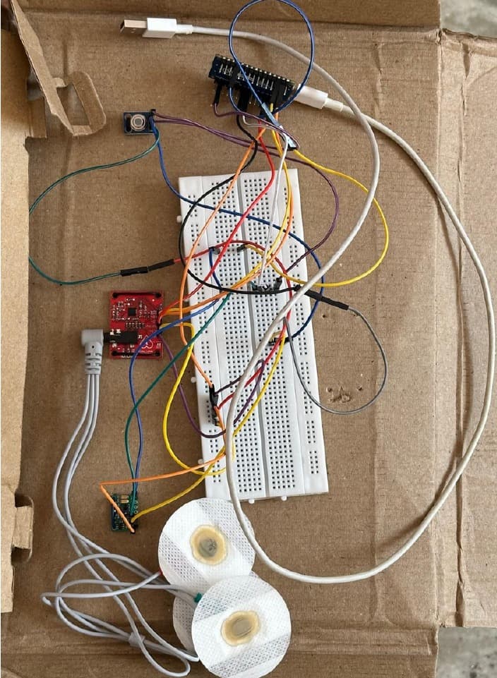 Remote Health Care Monitoring System
